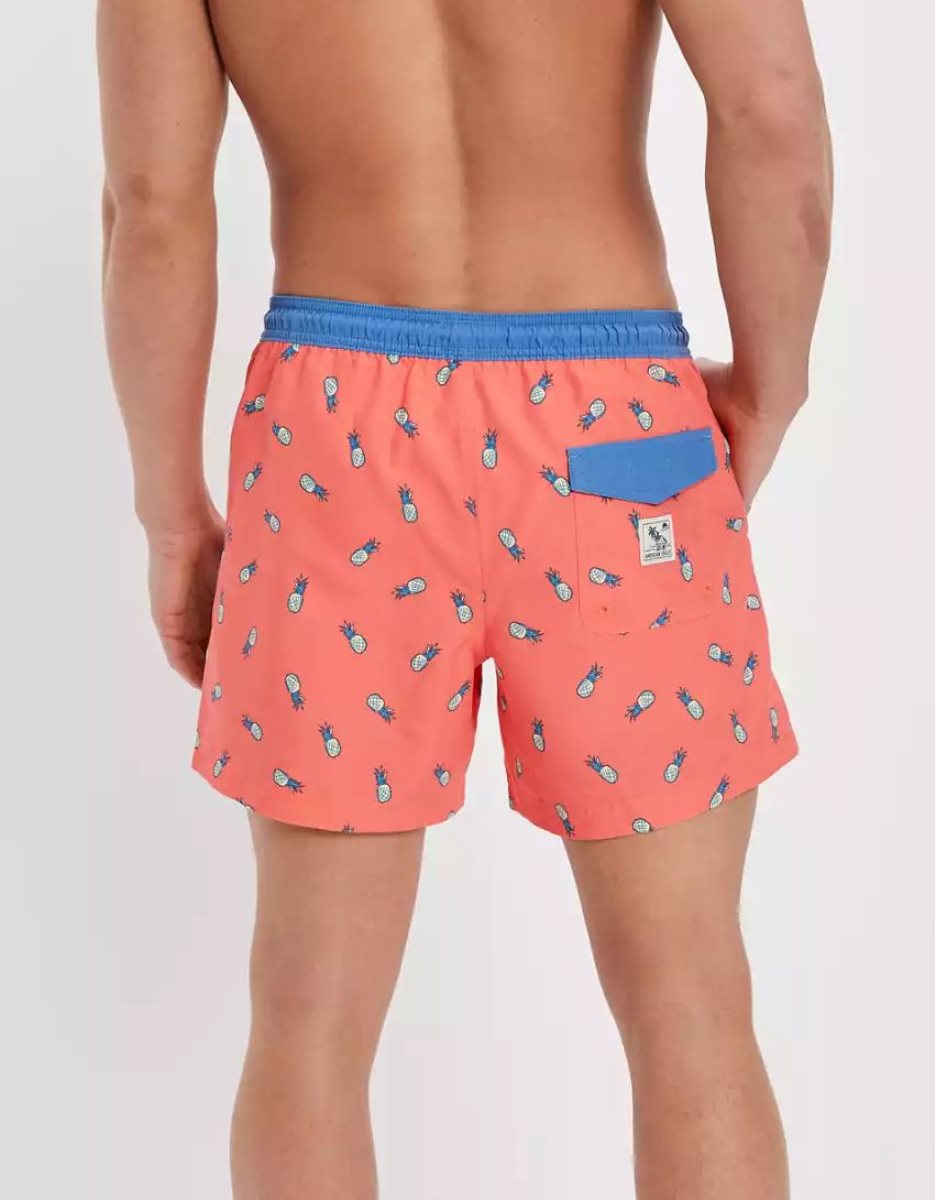 Shorts American Eagle AE 5.5